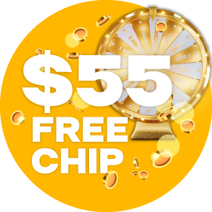 sunny spins casino